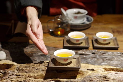 智匯芽協助福元昌普洱茶運營抖音賬號,確定合作關系